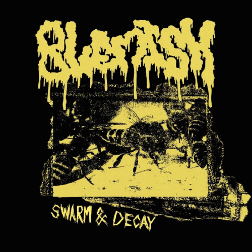 Blemish : Swarm & Decay